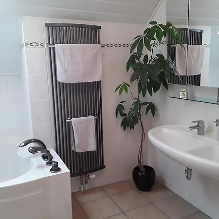 Sylvia Apartment Michelstadt